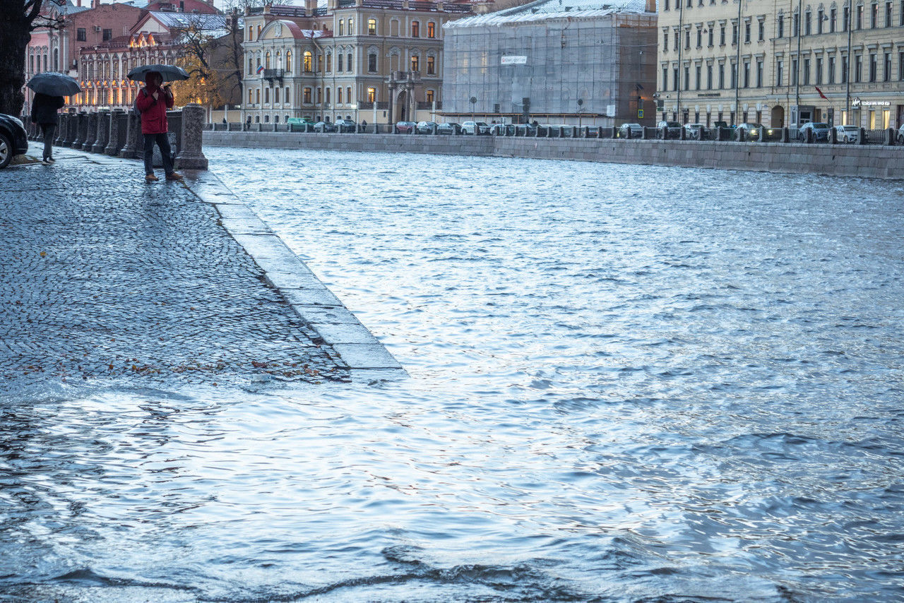 В Петербурге на следующей неделе будет тепло и дождливо