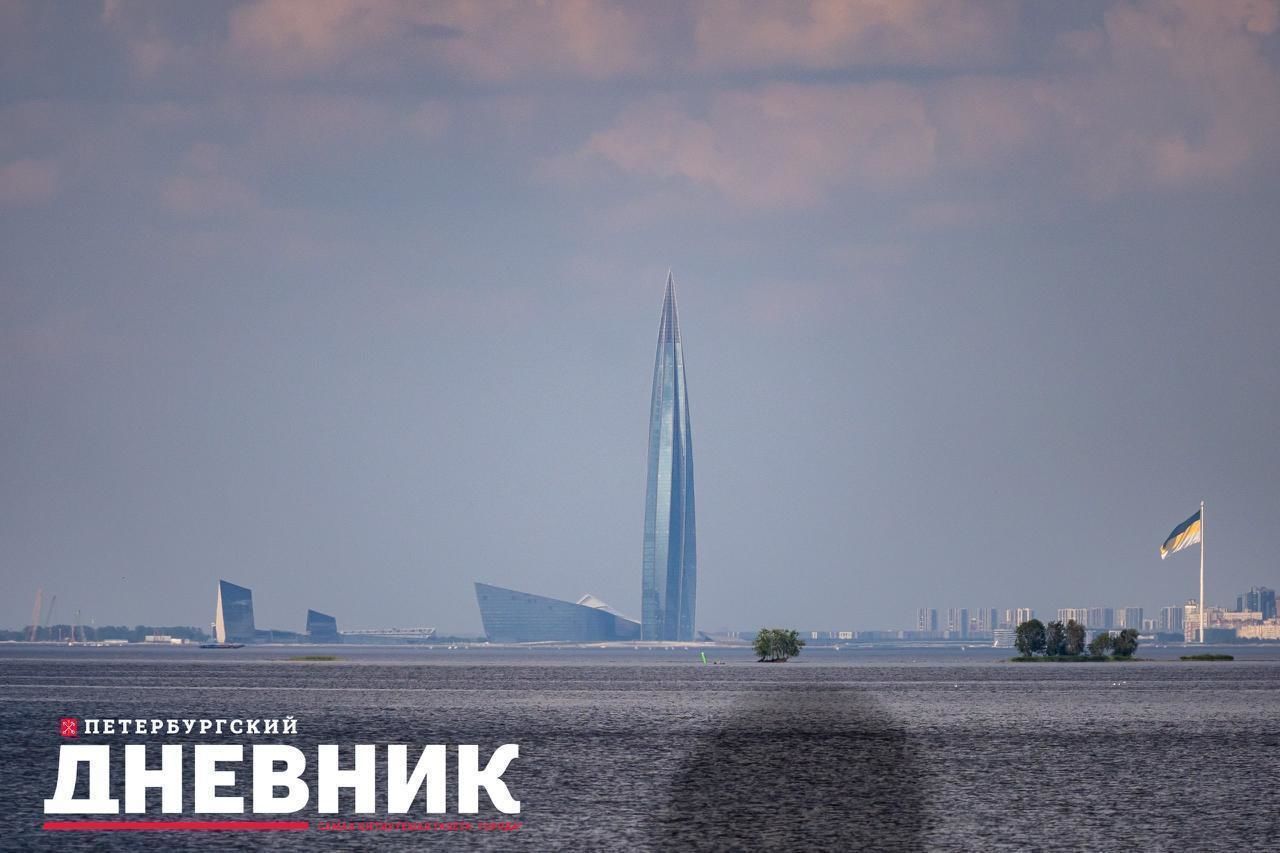 Фото: как петербуржцы отдыхают на природе в жару