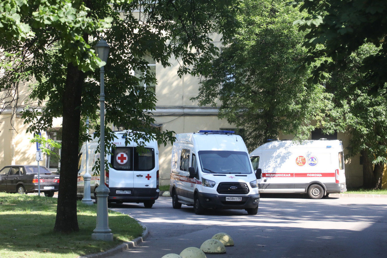 В Боткинской больнице рассказали, грозит ли нам лихорадка чикунгунья