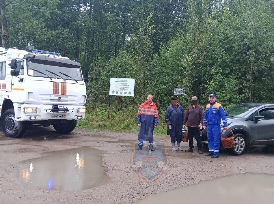 В лесу Приозерского района заблудились мужчина и женщина