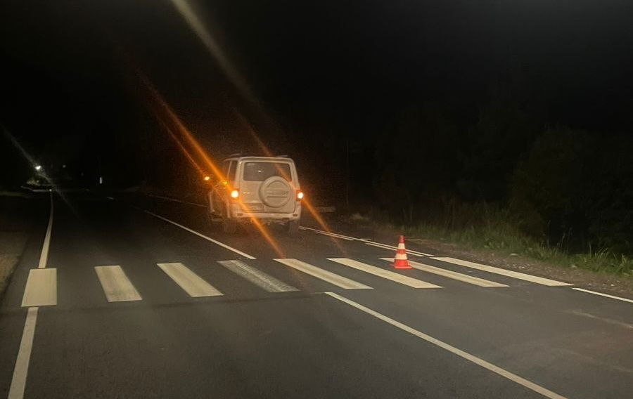 «УАЗ Патриот» насмерть сбил пожилого пешехода на зебре в Ленобласти