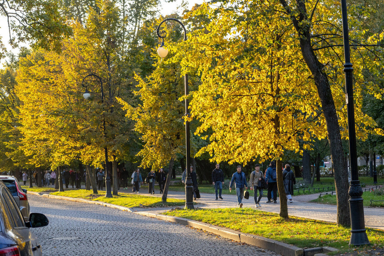 Петербург готовится к дождливым и ветреным выходным