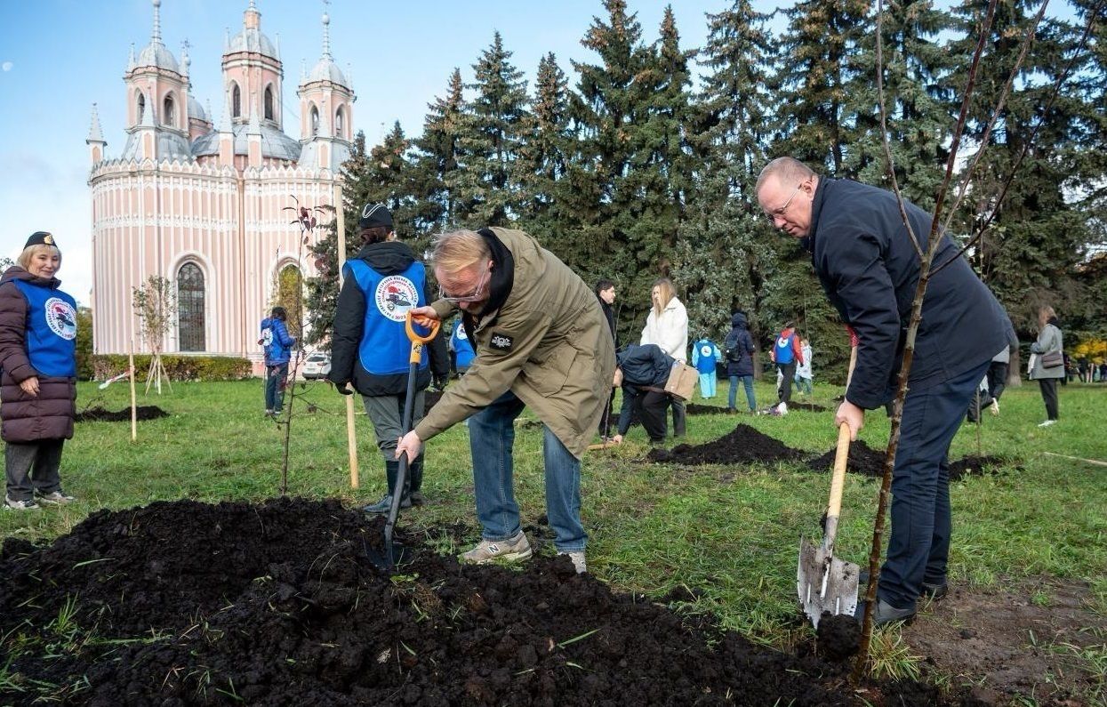 В сквере за Чесменской церковью высадили яблони и груши