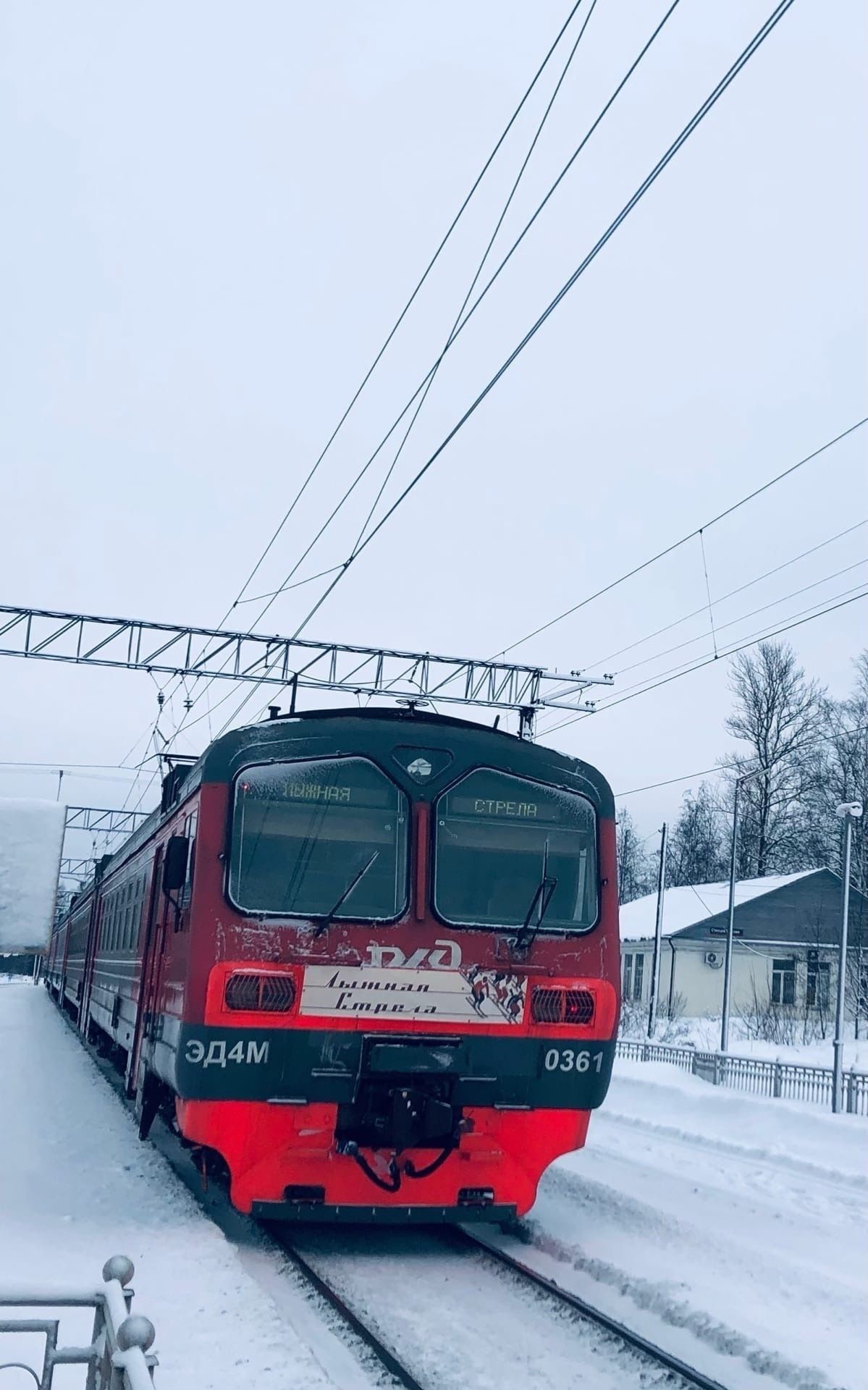 Лыжная стрела. Поезд лыжная стрела. Лахта лыжная стрела поезд. Поезд 926 лыжная стрела.