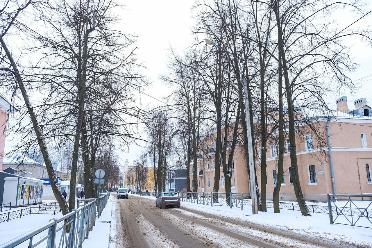 Металлострой участки. Кот, посёлок Металлострой. Ленсвет Кротово поселок. Металлострой снег. Новогодний Металлострой.