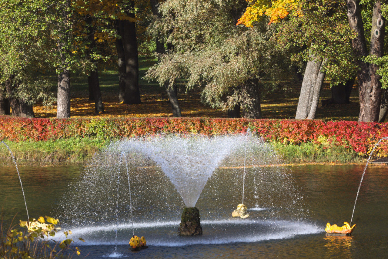 Два исторических фонтана заработали во дворе Литейного проспекта