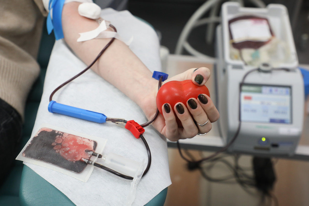 Fallout 4 центр переливания крови фото 41