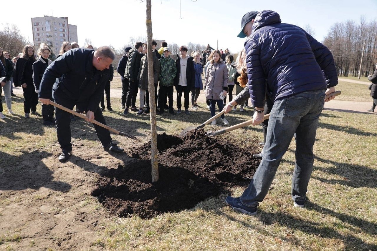 В саду посадили 14 фруктовых. Посадить дуб. Петриченко глава Калининского района. Высадили дубы. Благоустройство Любашинского сада жители против.
