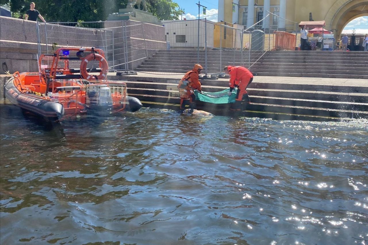 мост под водой в питере