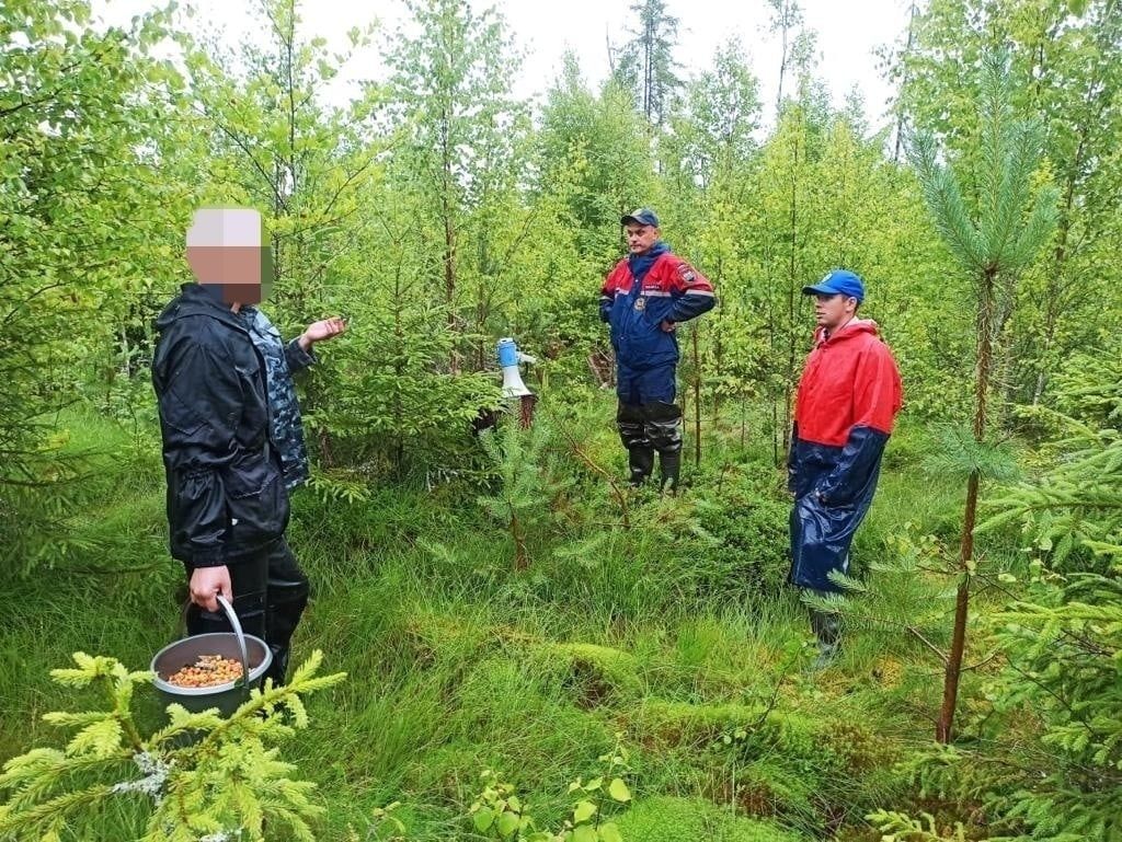 Попросила вывести из леса. Заблудился в лесу. Лесной человек. Леса Якутии. Женщина в лесу.