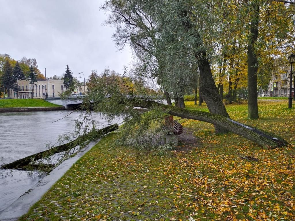 Жаркий сентябрь в Петербурге