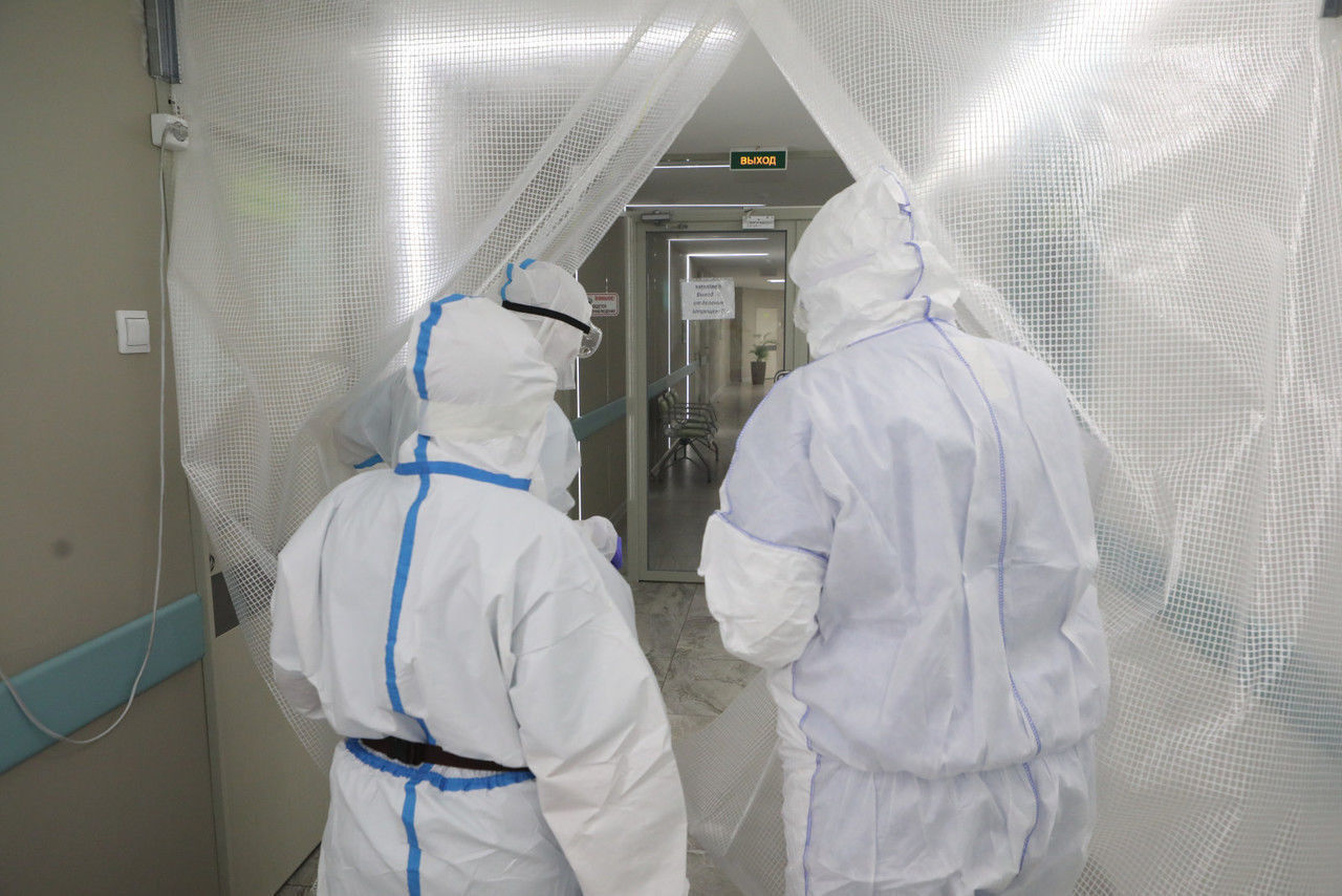 Петербуржцам рассказали, как отличить свиной грипп от коронавируса