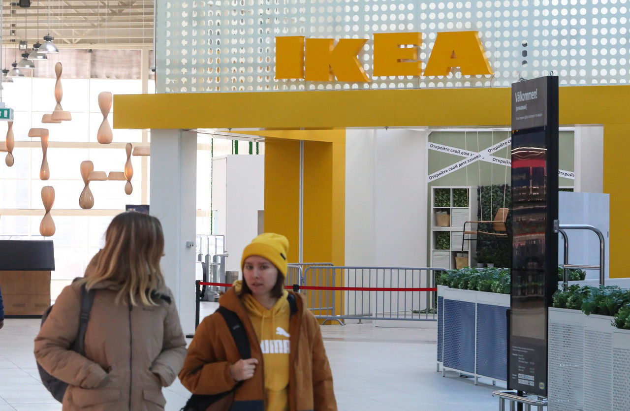 Плюшевые акулы из IKEA вернулись в Россию