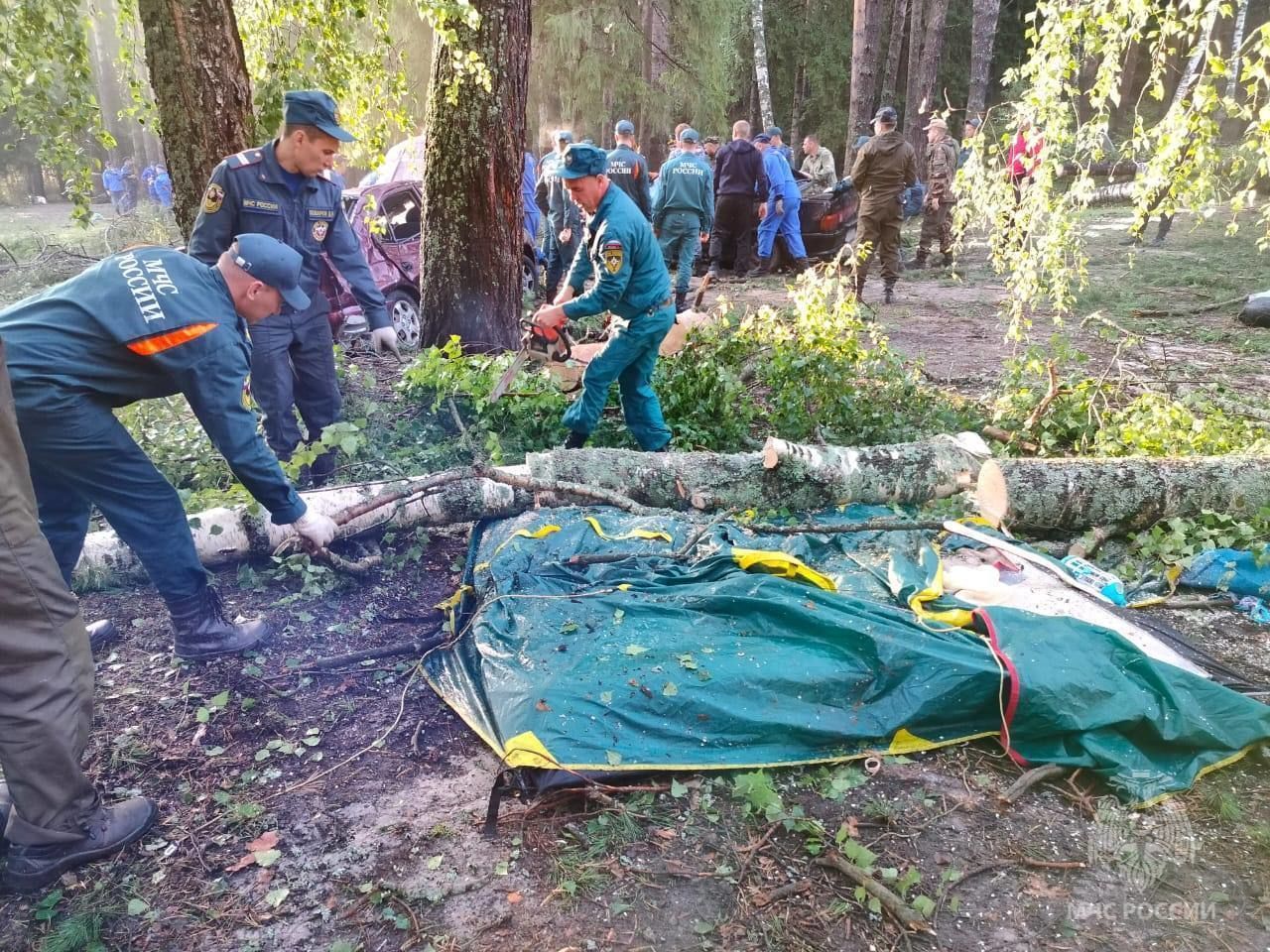 Спасатели Приозерска вывели из леса шесть заблудившихся человек