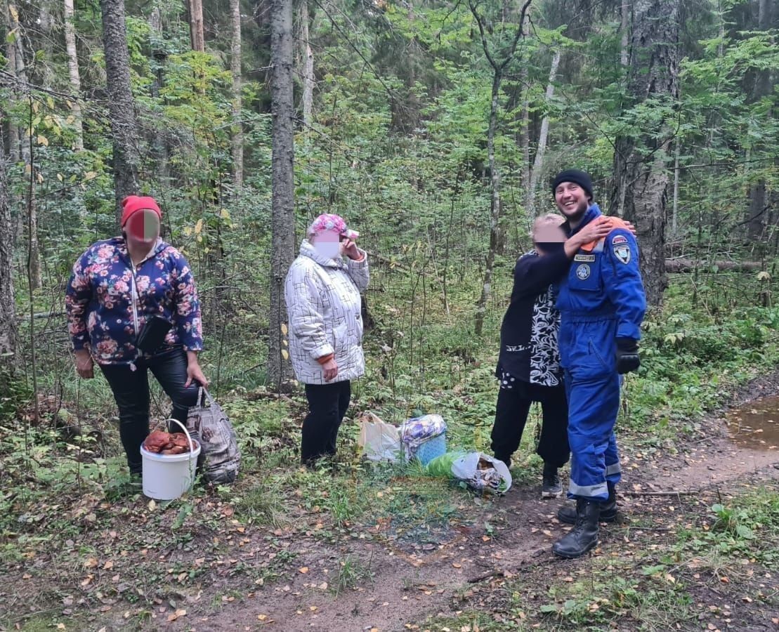 Четыре русские подружки заблудились в лесу: 357 видео в HD