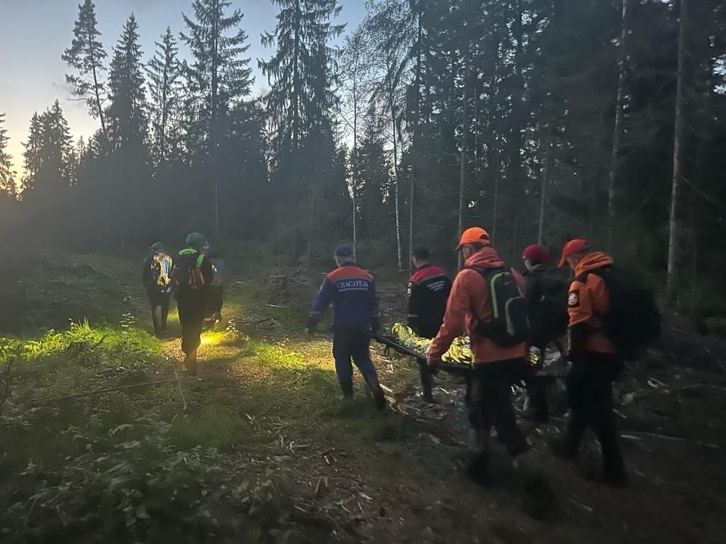 В Приозерском районе нашли пенсионерку, пропавшую в лесу неделю назад