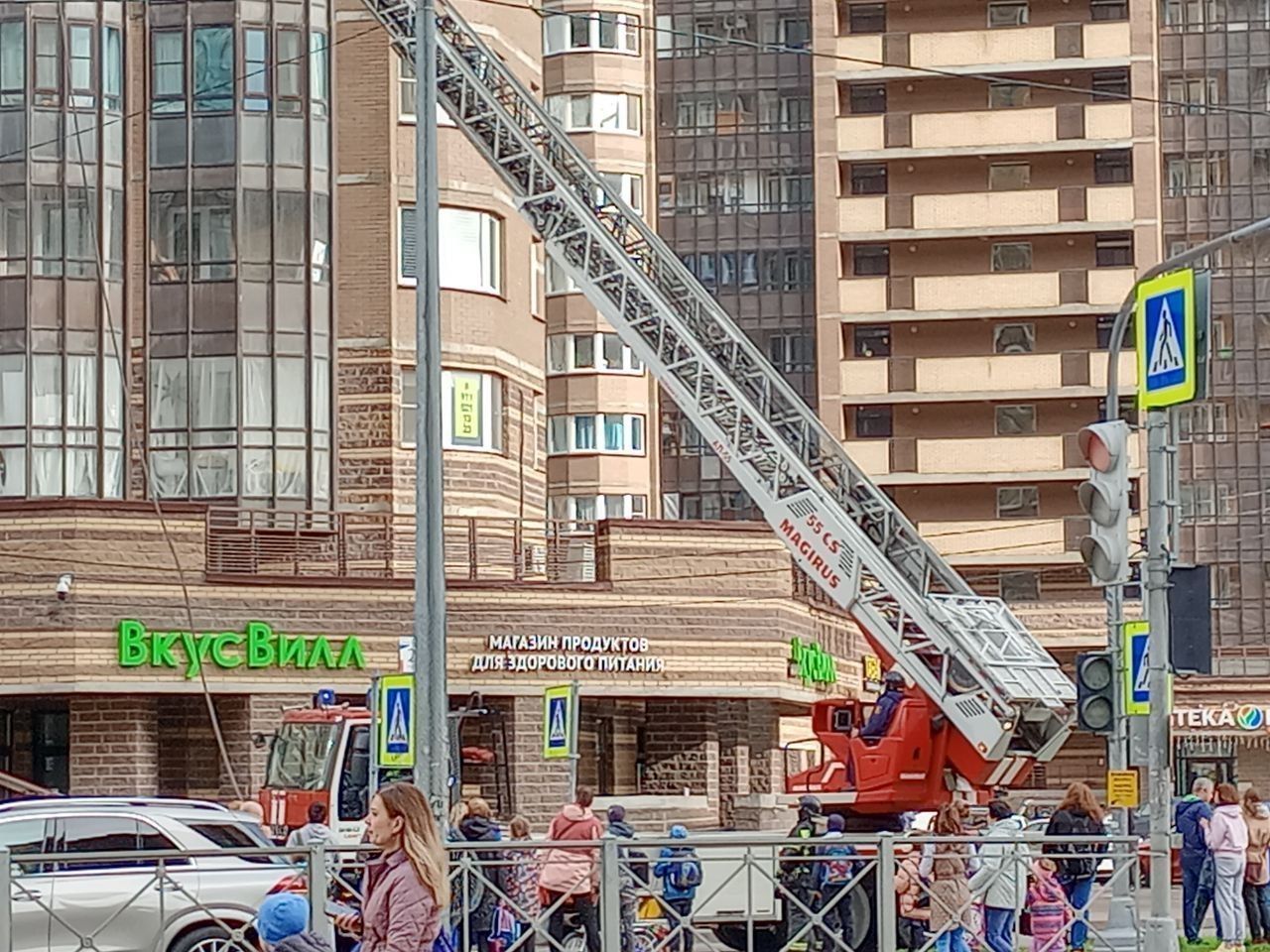 В Парголово из-за пожара на балконе из многоэтажки эвакуировали 25 человек  – видео