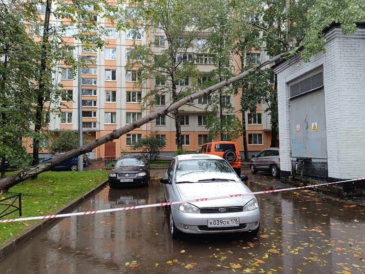 В Петербурге от упавших деревьев пострадали автомобиль и детский сад