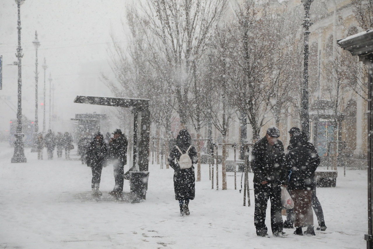 Главное за день в Петербурге 22 ноября: арест певца Шарлота, более 1000  заболевших коронавирусом и заморозка реновации