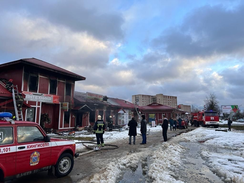 По факту пожара на рынке в Кингисеппе прокуратура начала проверку