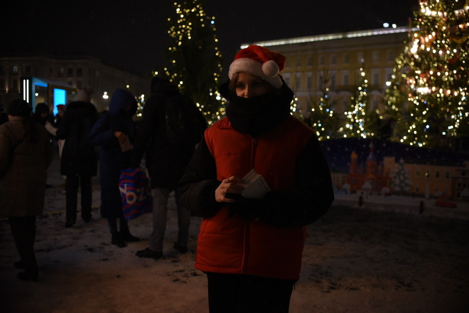 Не хочу гостей в новый год