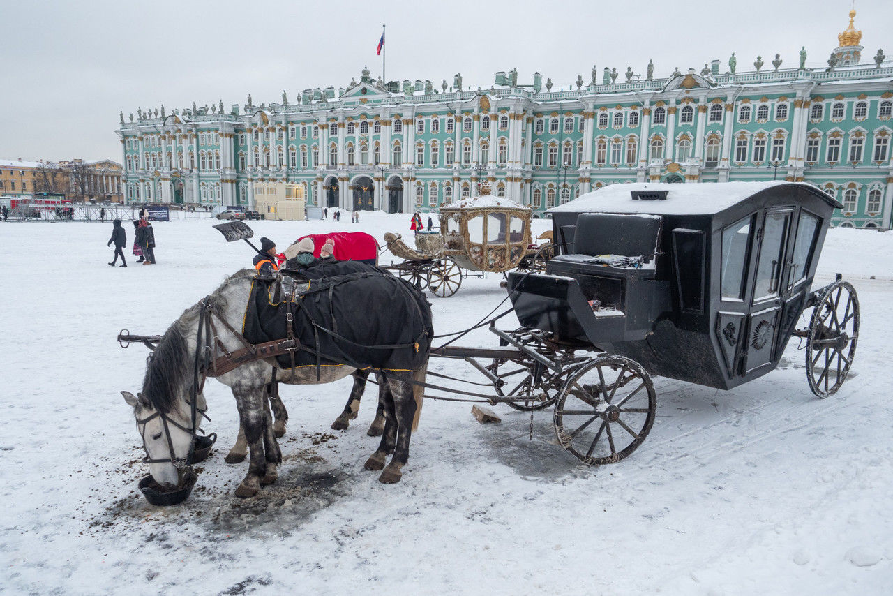 Вирусолог объяснил, почему россиянам не стоит бояться лошадиного энцефалита