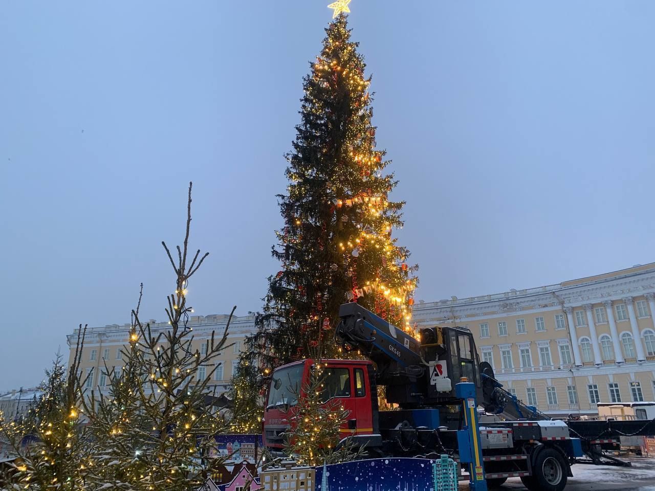 Главная елка Петербурга покидает Дворцовую площадь