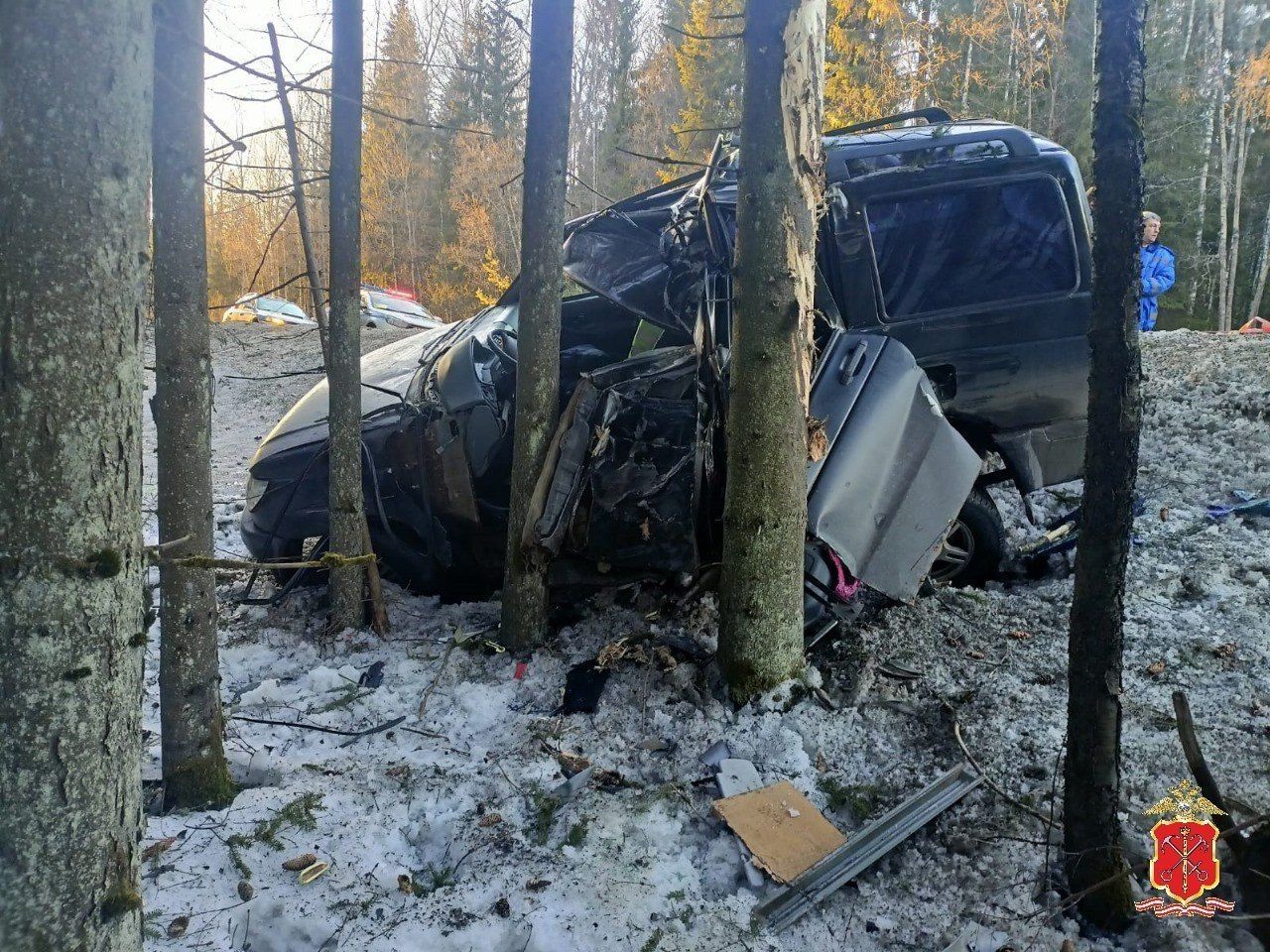 Пенсионерка погибла в автомобиле, вылетевшем в кювет в Ленобласти