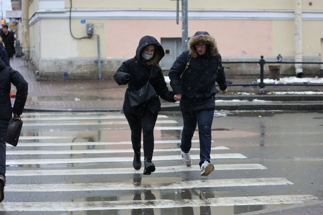 Четверг в Ленобласти будет дождливым