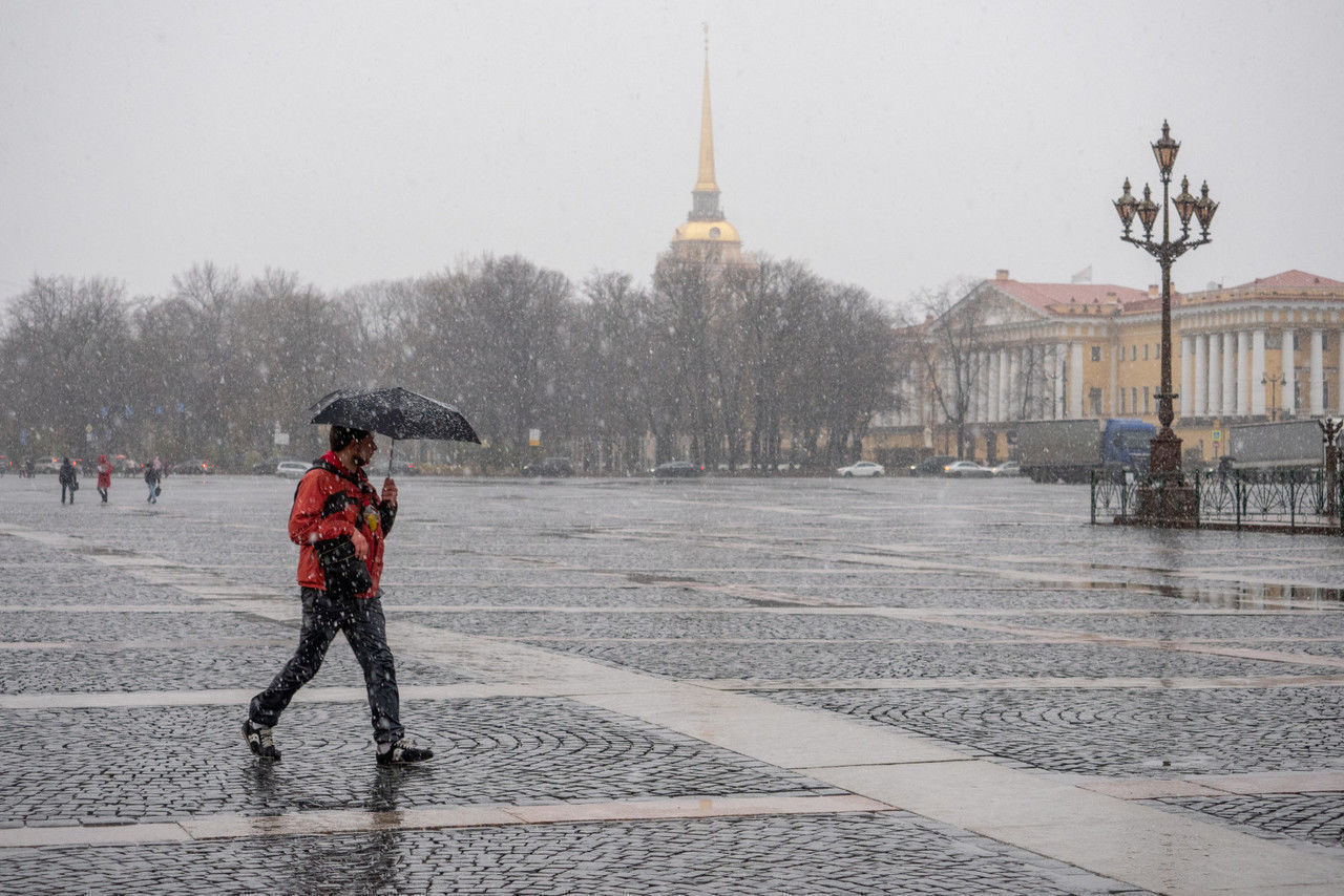 В Петербурге 29 марта будет тепло, но придут дожди