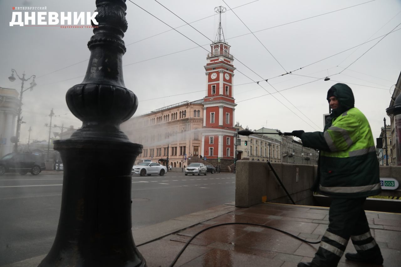 Главное за день в Петербурге 1 апреля: эвакуация Ленинградского зоопарка,  рейсы в Тбилиси и создание Центра семьи