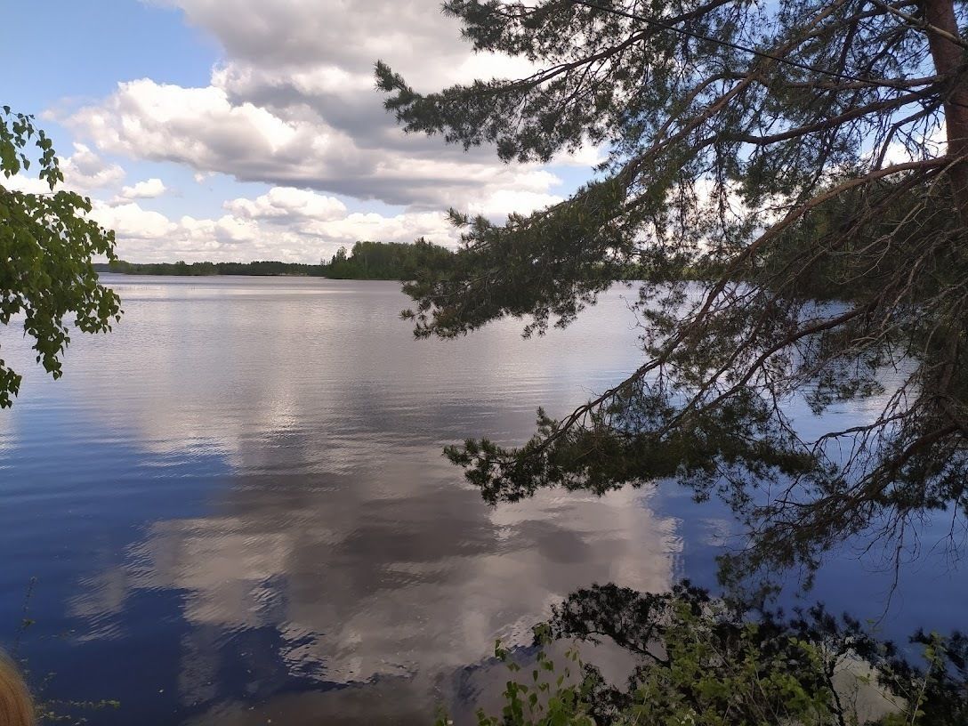 Стало известно, что в Ленобласти начнут строить дома на воде