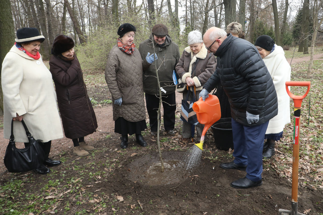 Самое долговечное: в Ботаническом саду появилось дерево депутата Александра Ржаненкова