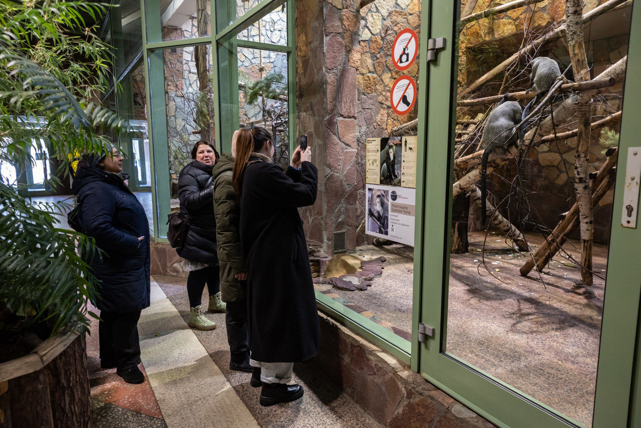 Ленинградский зоопарк показал любопытного детеныша игрунок