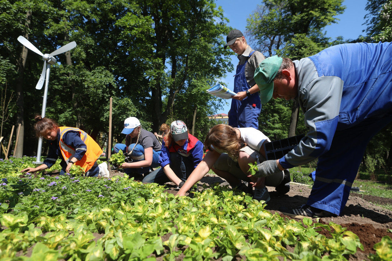 Петербургские садовники возвращаются к работе в садах, парках и скверах после похолодания