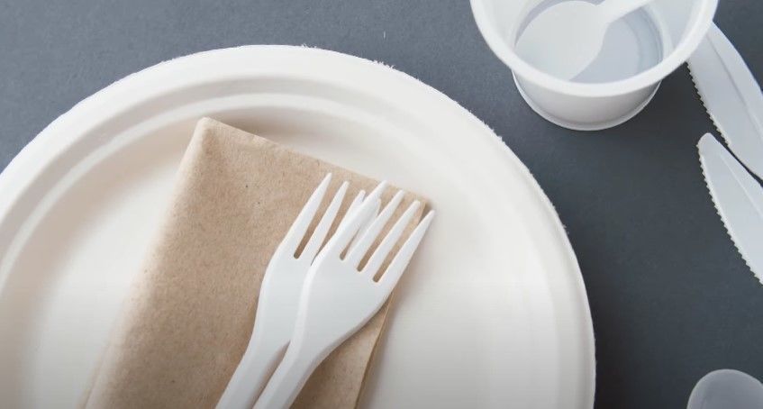 В Госдуме предложили на пластиковую посуду наносить маркировку о вреде для природы 