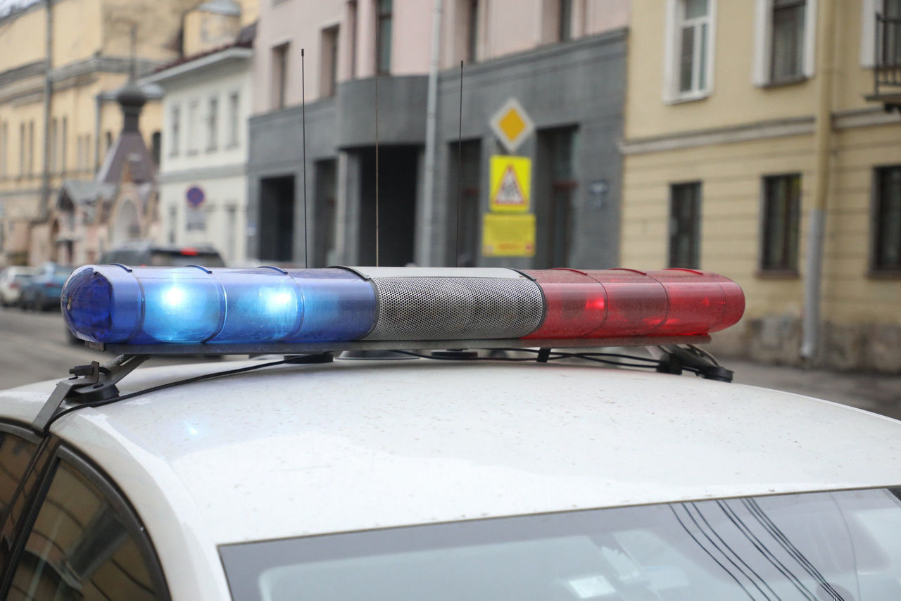 Полицейские накрыли наркоплантацию на Выборгской набережной