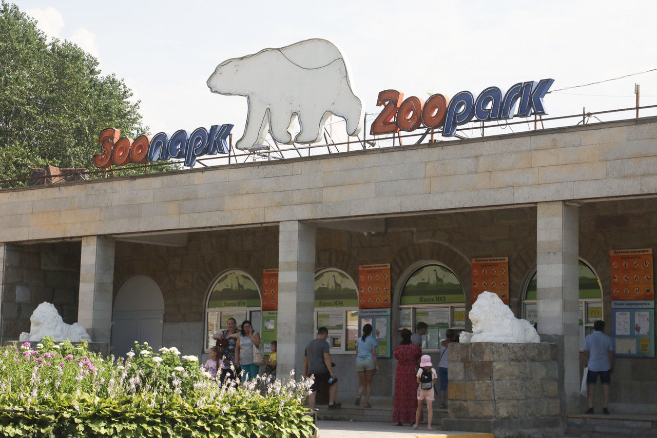 В Ленинградском зоопарке рассказали, как пострадал зоосад в годы войны 