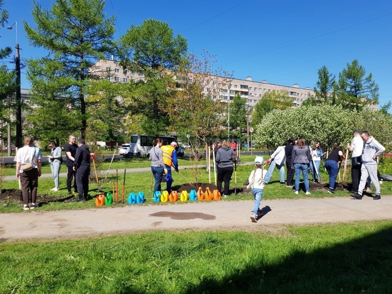 В Московском районе высадили сакуру, голубые ели и кустарники