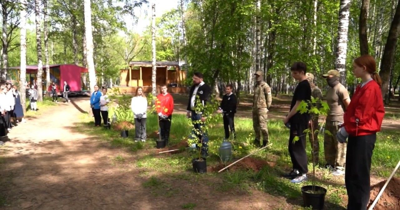 В Нижнем Новгороде высадили аллею в честь участников СВО