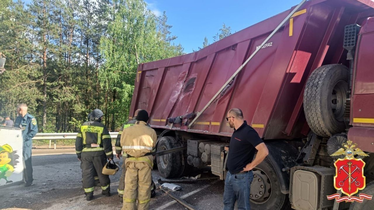 Полиция проверяет обстоятельства ДТП в Ломоносовском районе Ленобласти, в  результате которого пострадали пять пассажиров автобуса | 08.06.2024 |  Санкт-Петербург - БезФормата