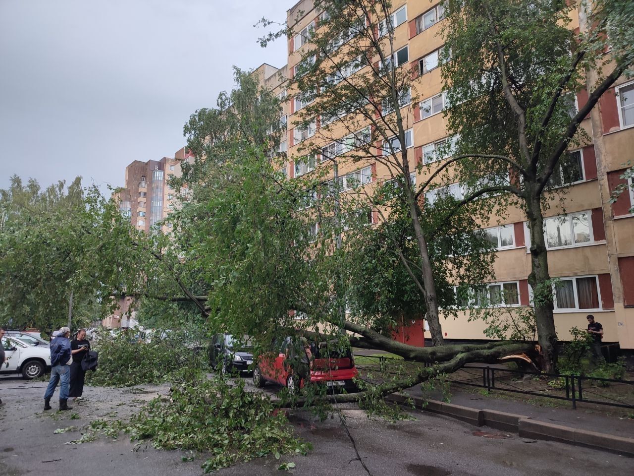 Ураган в Петербурге повалил деревья и строительный кран