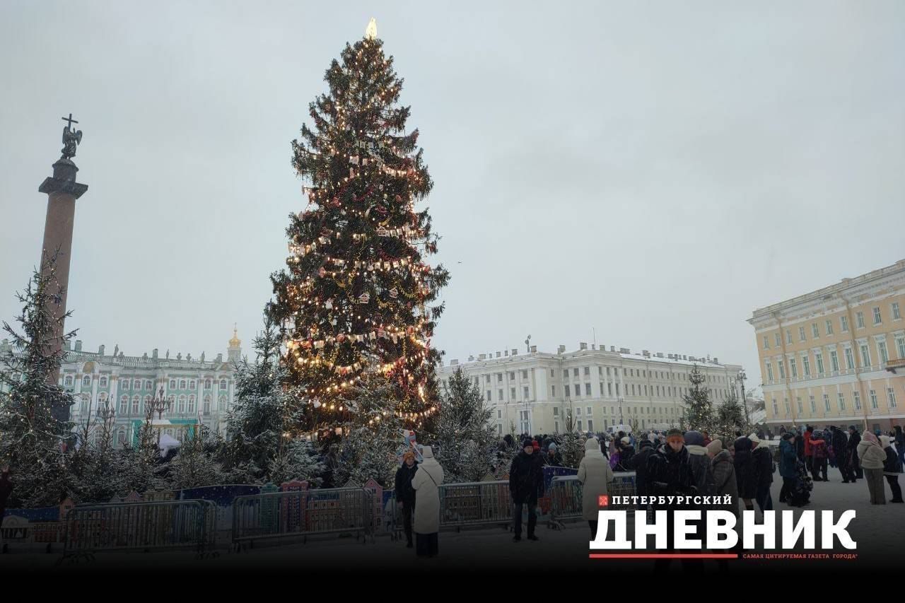 «Петербургский дневник» показал фотографии заснеженного города в новогоднее утро